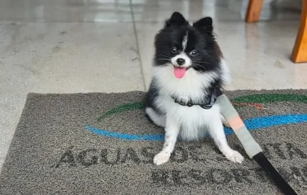 Hotel Aguas de Santa Barbara (1)