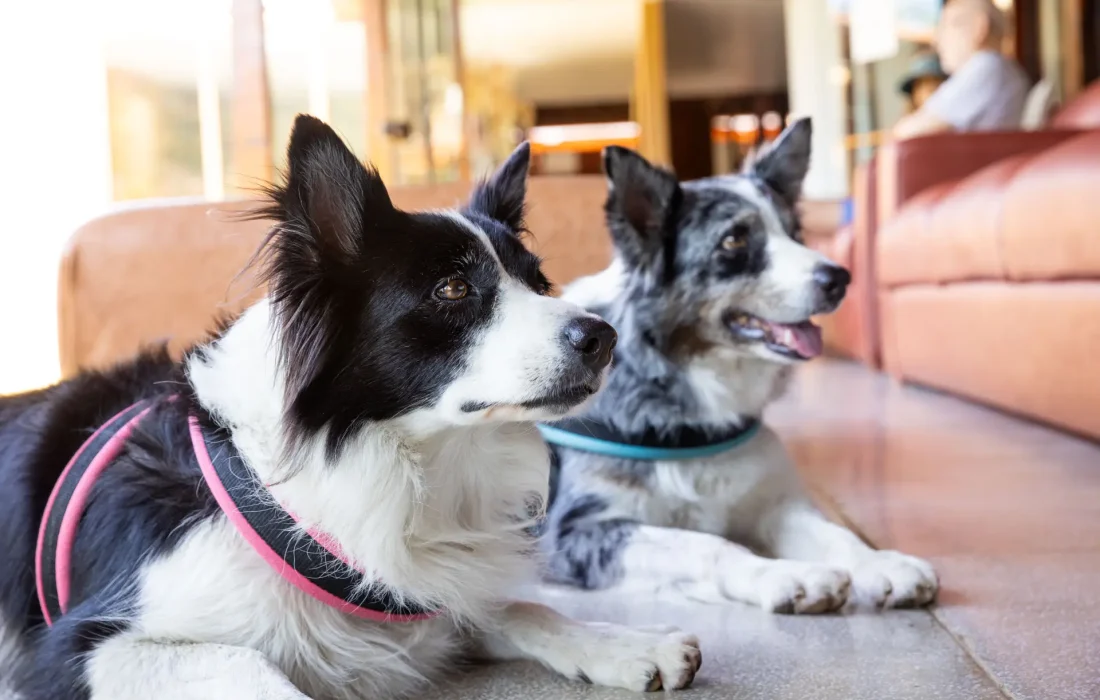 Hotel Aguas de Santa Barbara (2) R6V_5266